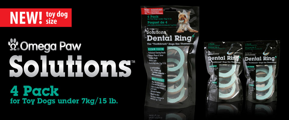 Dental Ring for toy size dogs