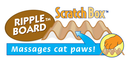 cat scratch box