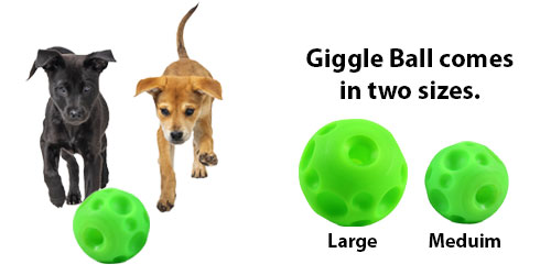 tricky treat training ball