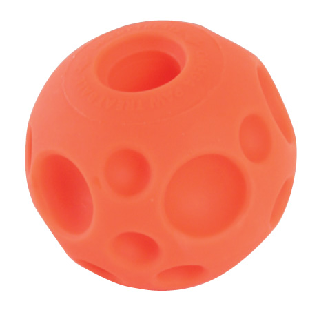 orange ball for dogs