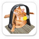 cat groomer